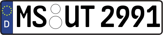 MS-UT2991