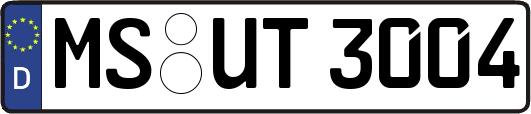 MS-UT3004