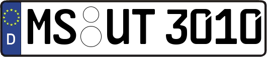 MS-UT3010