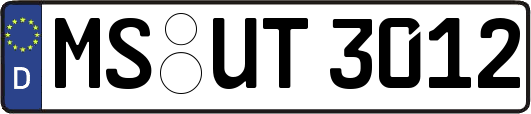 MS-UT3012