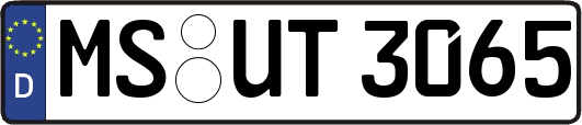 MS-UT3065