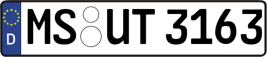 MS-UT3163