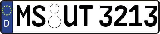 MS-UT3213