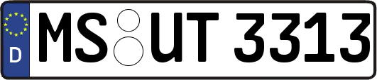 MS-UT3313
