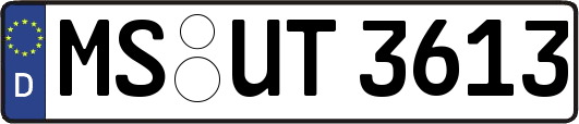 MS-UT3613