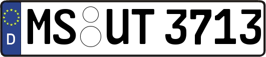 MS-UT3713
