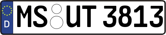 MS-UT3813
