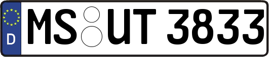 MS-UT3833