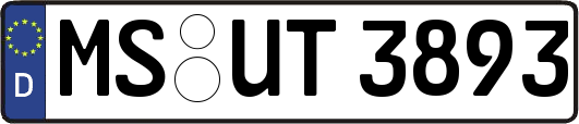 MS-UT3893