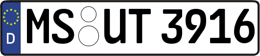 MS-UT3916