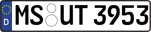 MS-UT3953