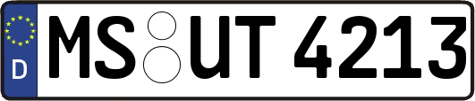 MS-UT4213