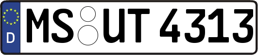 MS-UT4313