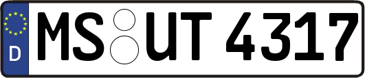 MS-UT4317
