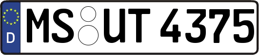 MS-UT4375