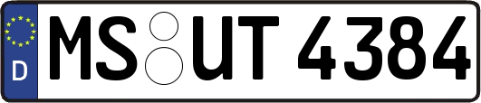 MS-UT4384