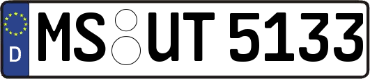 MS-UT5133
