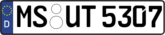 MS-UT5307