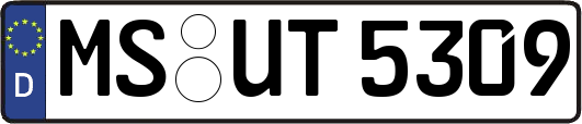 MS-UT5309