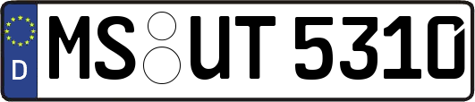 MS-UT5310