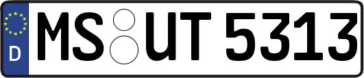 MS-UT5313