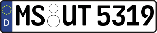 MS-UT5319