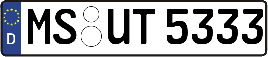 MS-UT5333