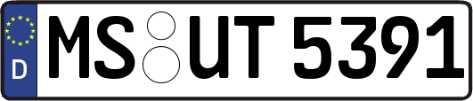 MS-UT5391