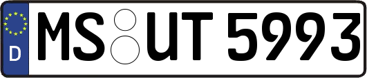 MS-UT5993
