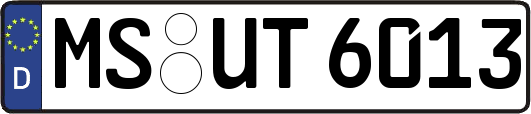 MS-UT6013