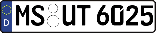 MS-UT6025