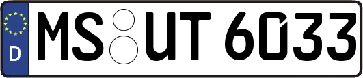MS-UT6033
