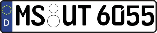 MS-UT6055