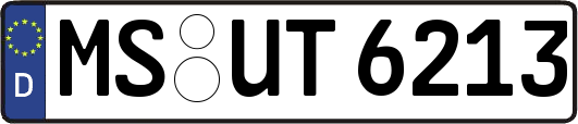 MS-UT6213