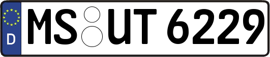 MS-UT6229