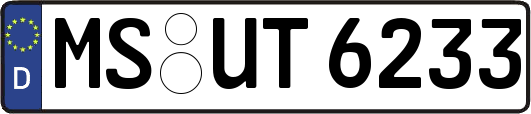 MS-UT6233