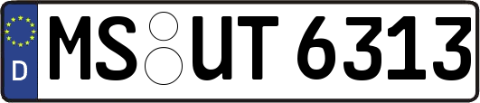 MS-UT6313