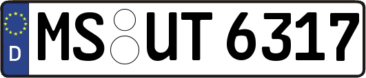 MS-UT6317
