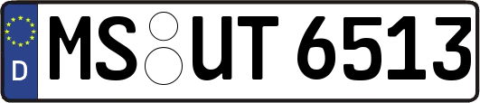 MS-UT6513