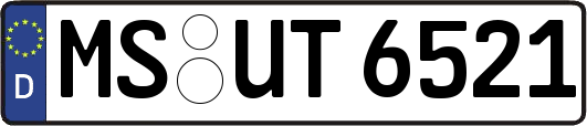 MS-UT6521