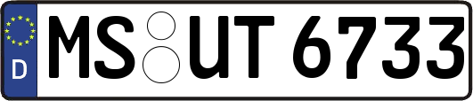 MS-UT6733