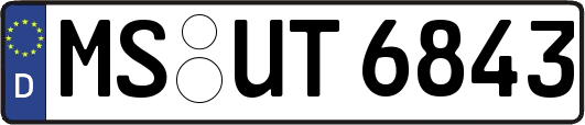 MS-UT6843
