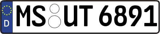 MS-UT6891