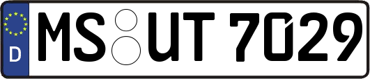 MS-UT7029