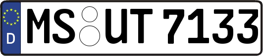 MS-UT7133