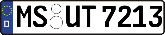 MS-UT7213