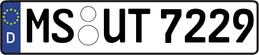 MS-UT7229