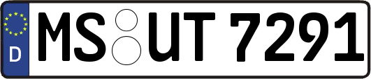 MS-UT7291
