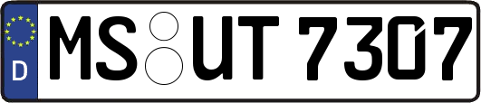 MS-UT7307
