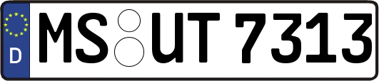 MS-UT7313